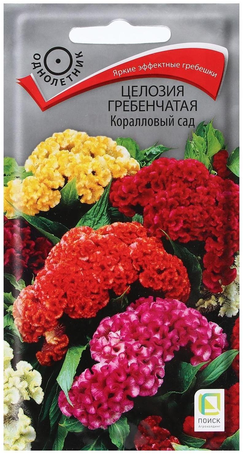 Семена цветов Целозия гребенчатая 