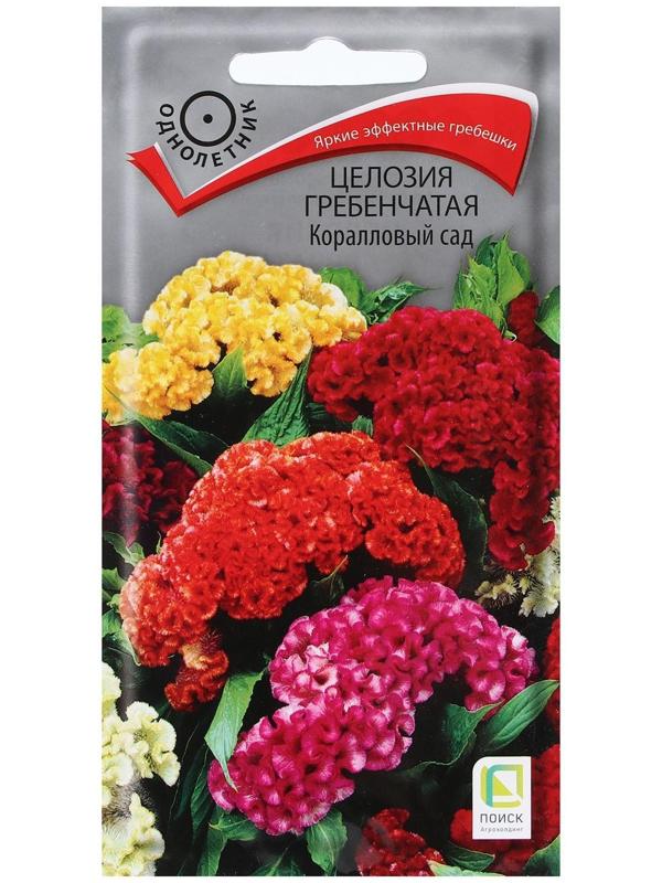 Семена цветов Целозия гребенчатая 