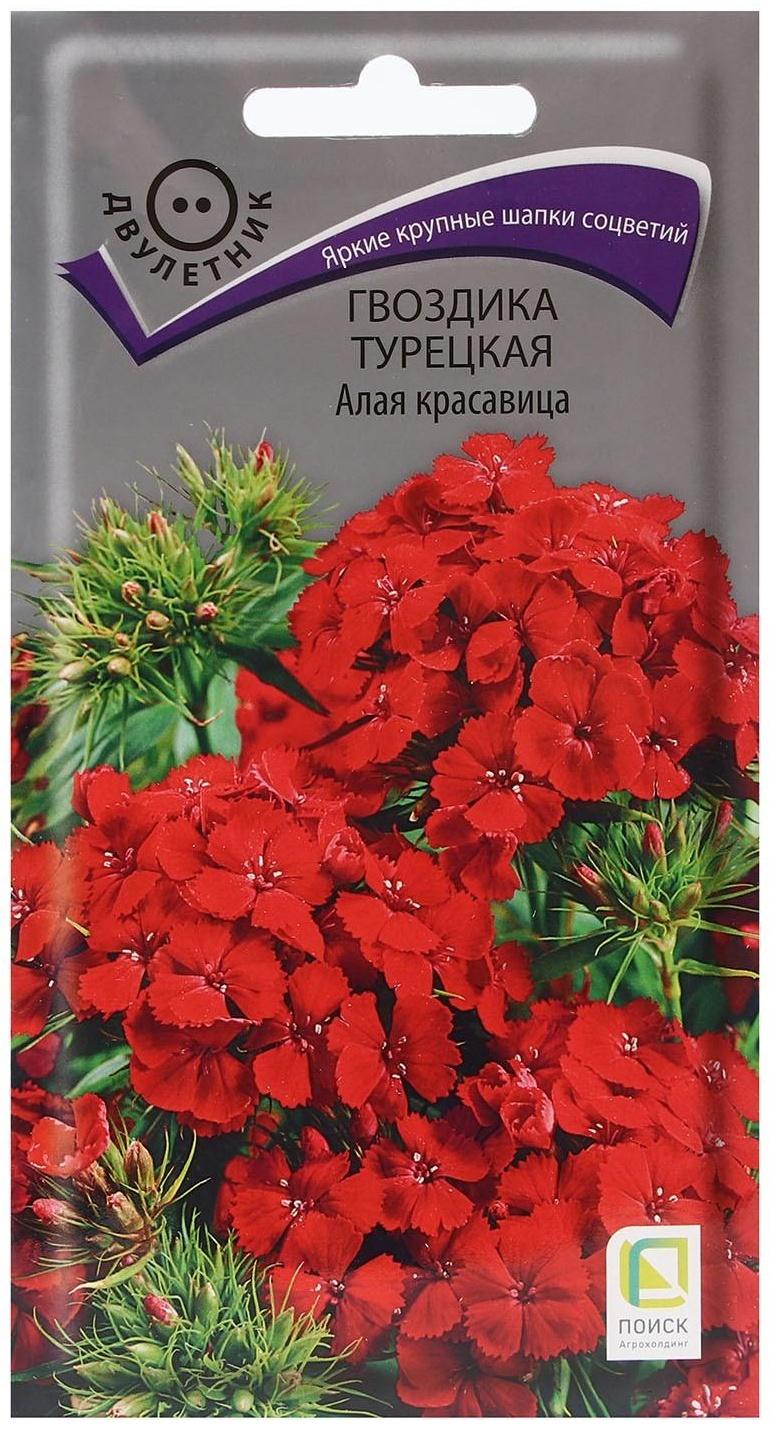 Семена цветов Гвоздика Турецкая 