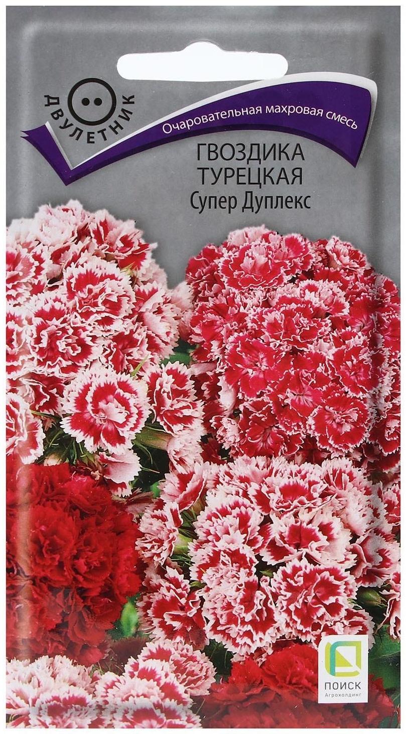 Семена цветов Гвоздика Турецкая 