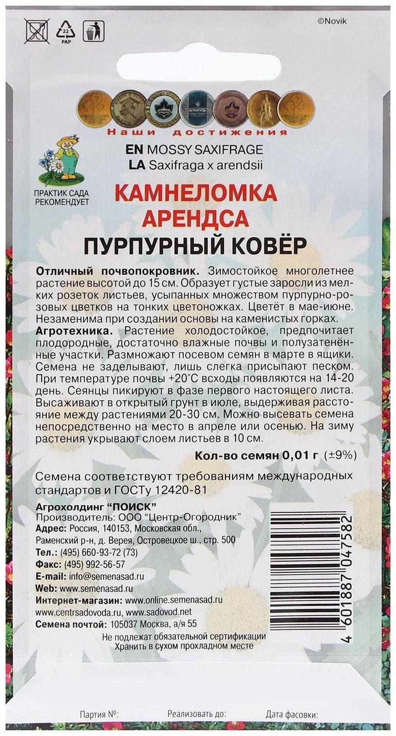 Семена цветов Камнеломка 