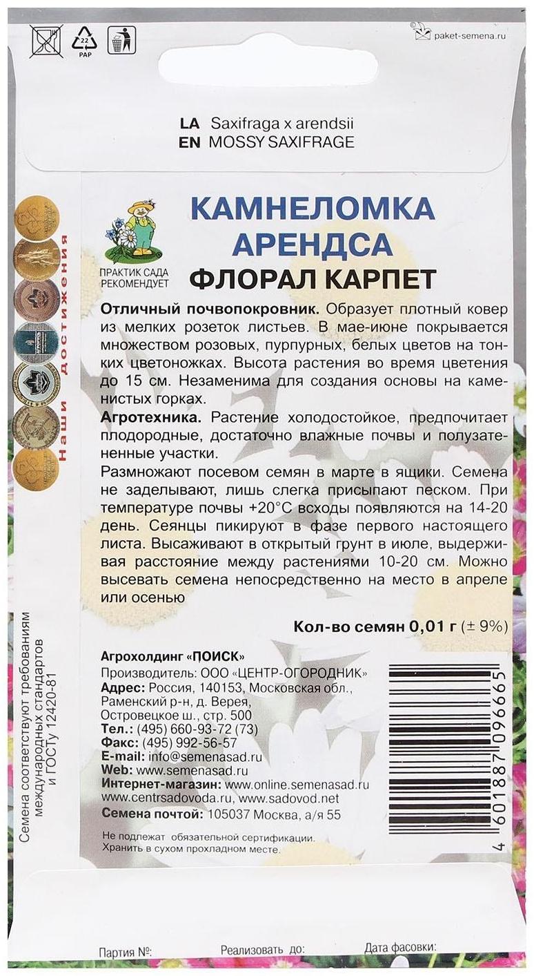 Семена цветов Камнеломка 