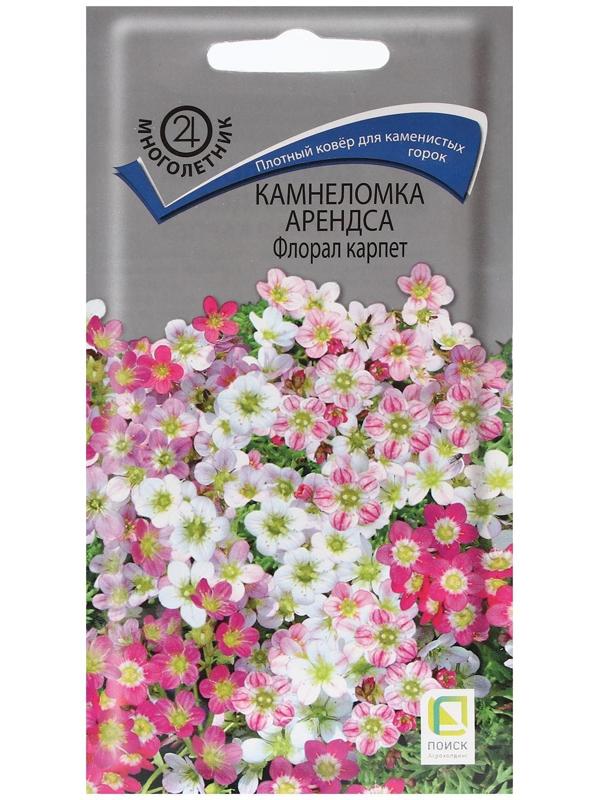 Семена цветов Камнеломка 