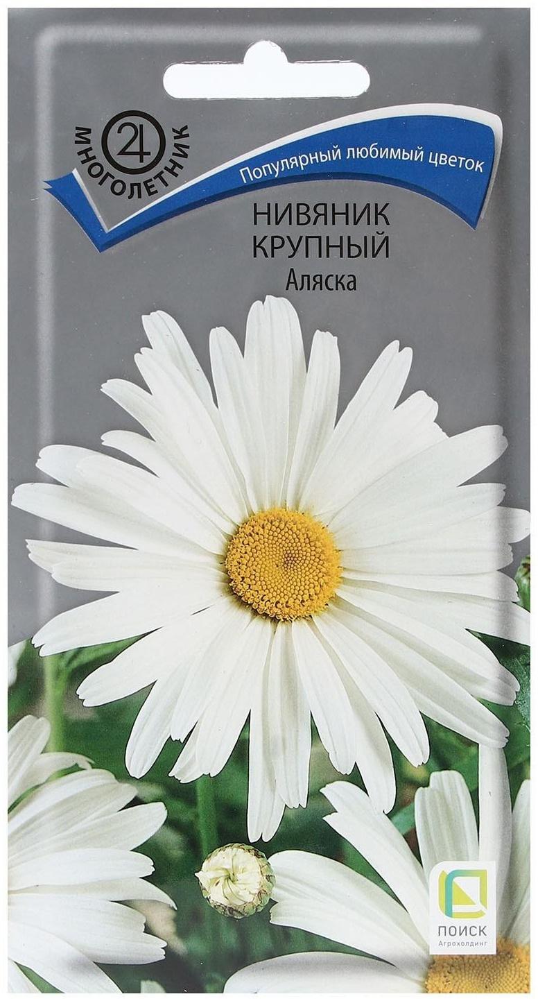 Семена цветов Нивяник крупный 