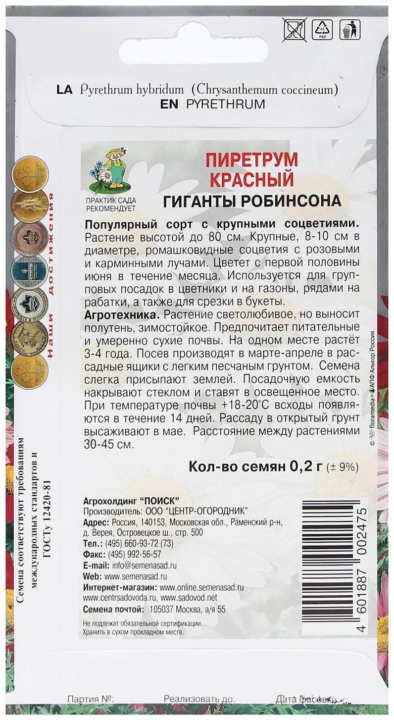 Семена цветов Пиретрум красный 