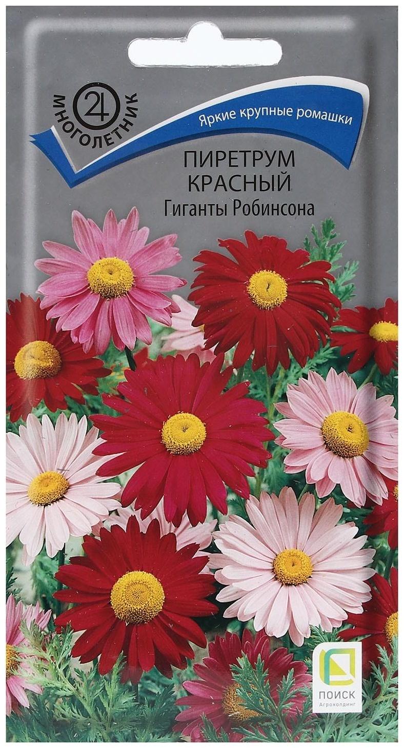 Семена цветов Пиретрум красный 