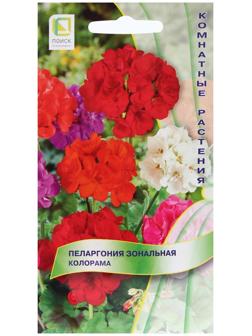 Семена цветов Пеларгония зональная 