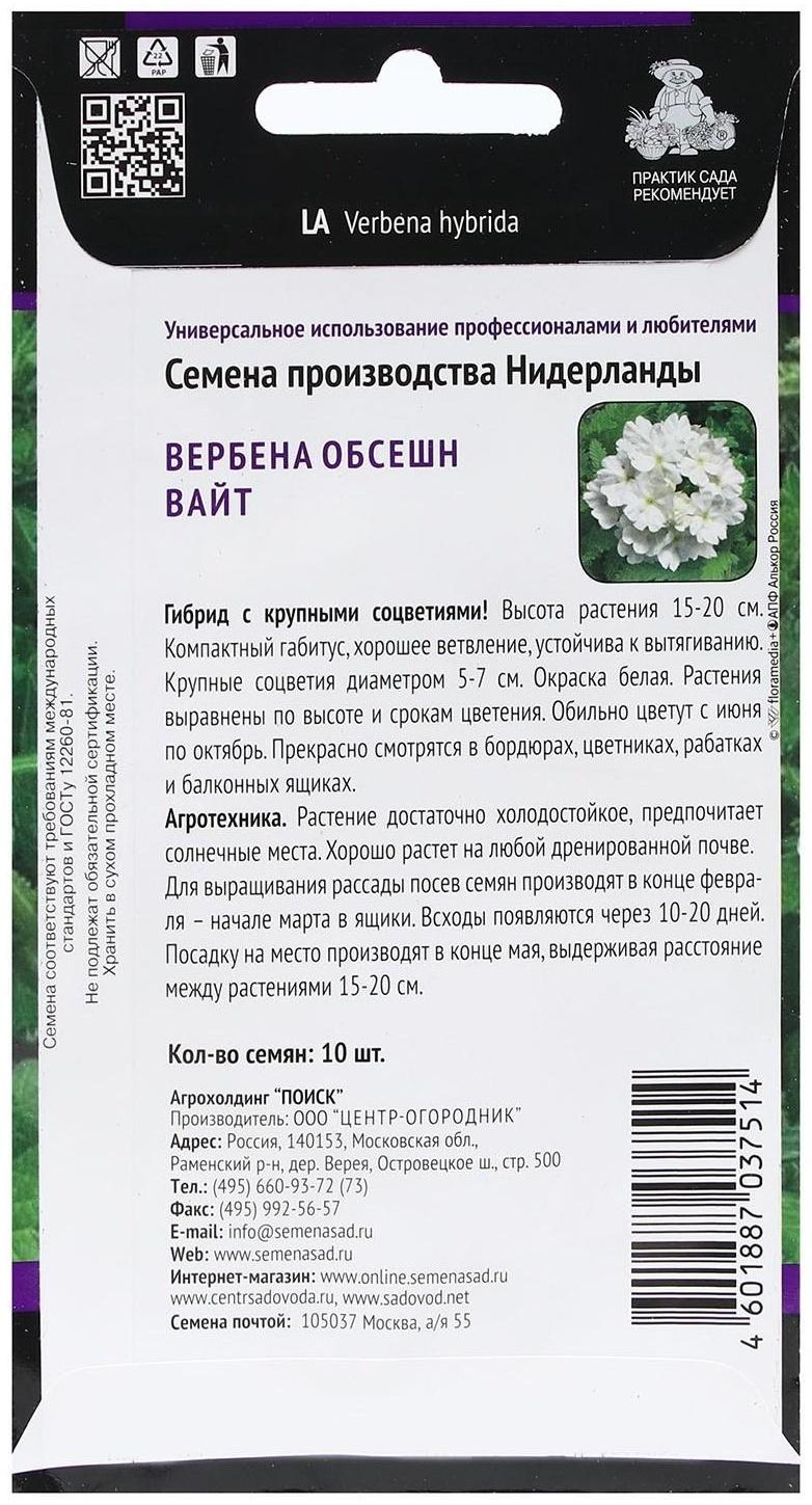 Семена цветов Вербена 