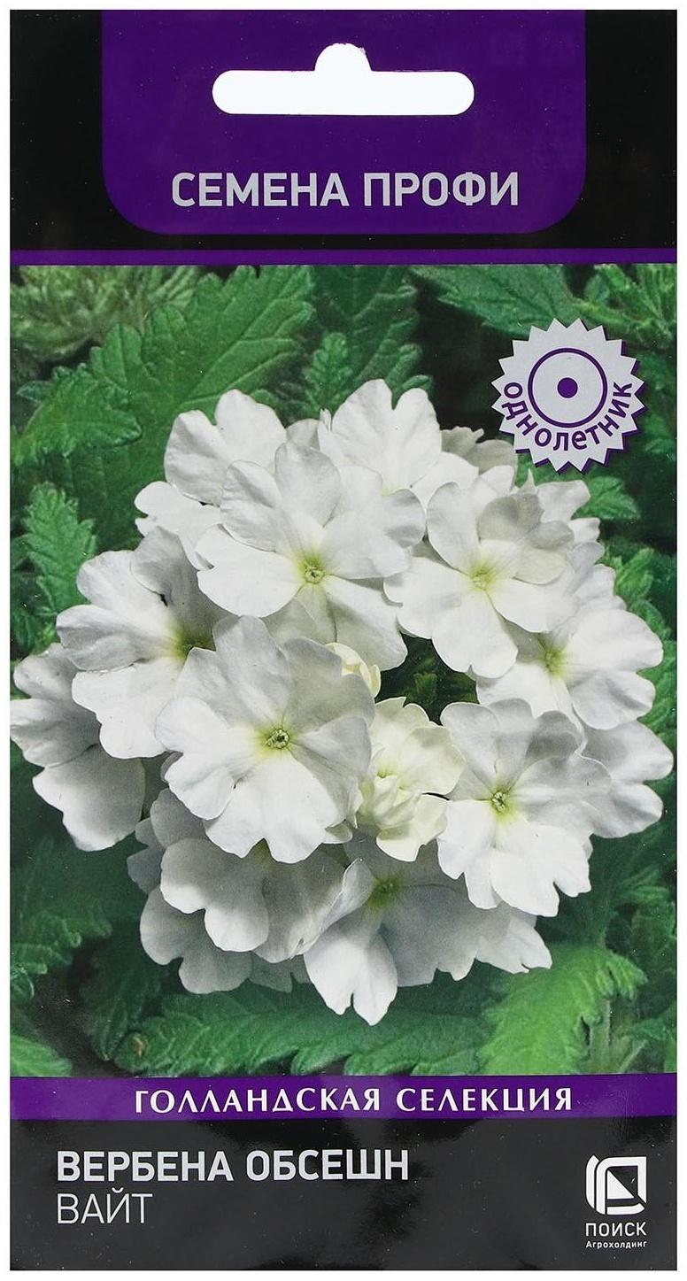 Семена цветов Вербена 