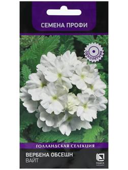 Семена цветов Вербена 