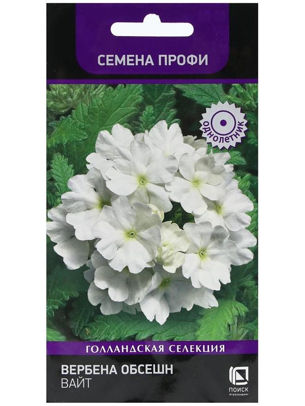 Семена цветов Вербена 