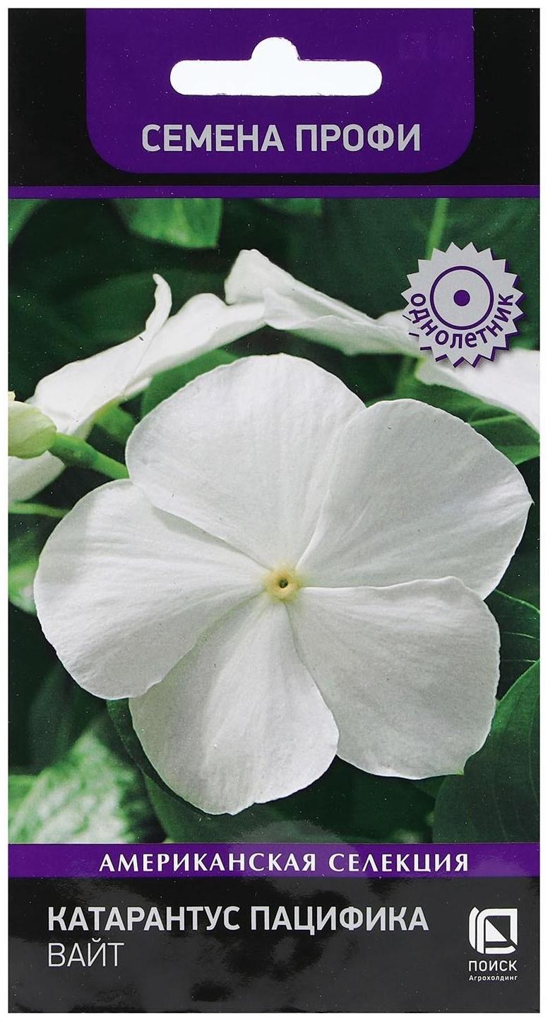 Семена цветов Катарантус Пацифика 