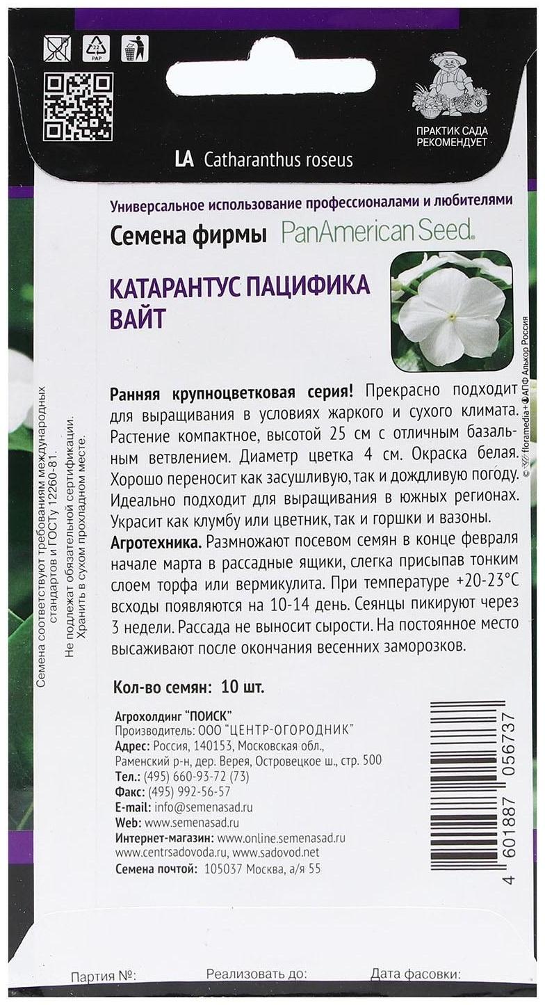 Семена цветов Катарантус Пацифика 