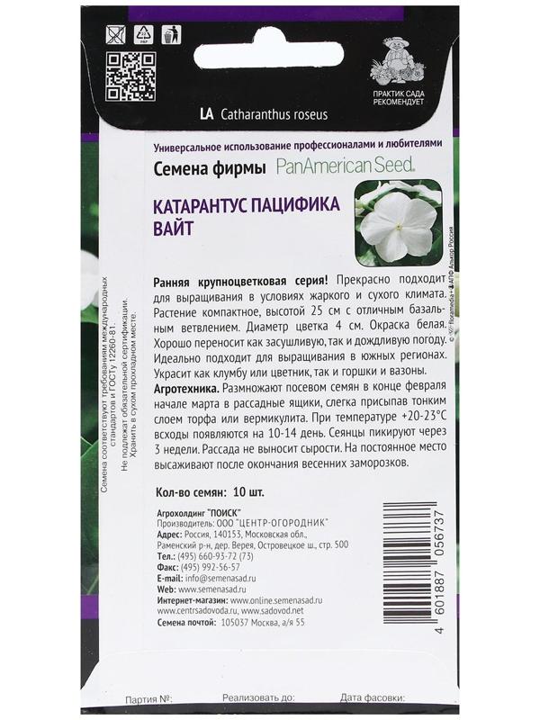 Семена цветов Катарантус Пацифика 