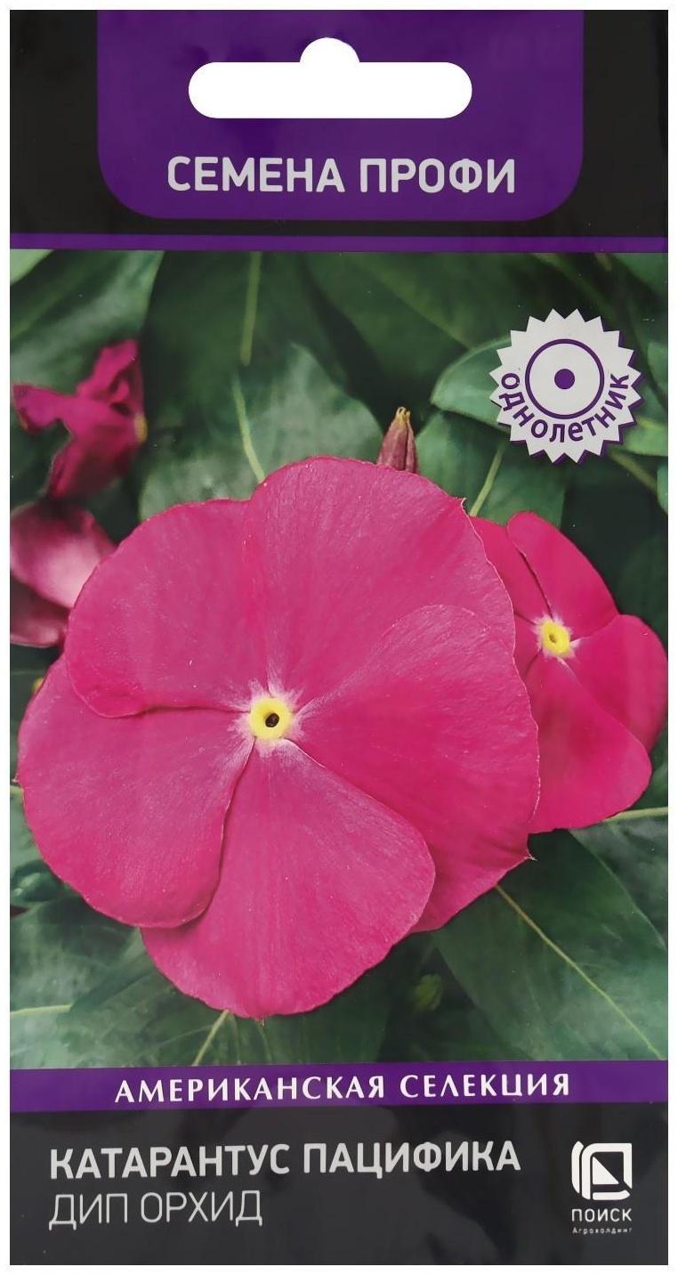 Семена цветов Катарантус Пацифика 