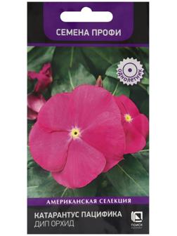 Семена цветов Катарантус Пацифика 