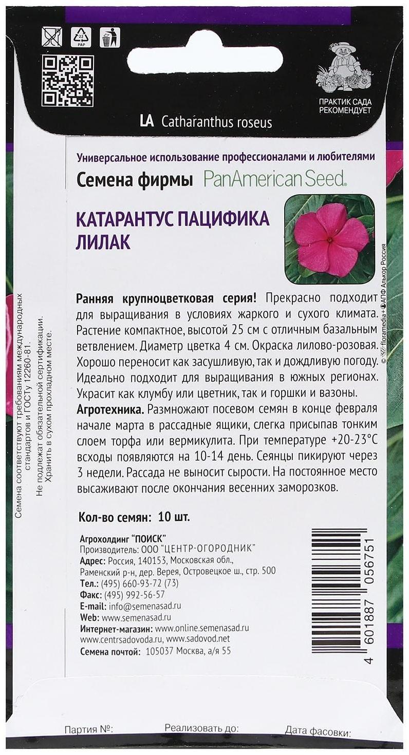 Семена цветов Катарантус Пацифика 