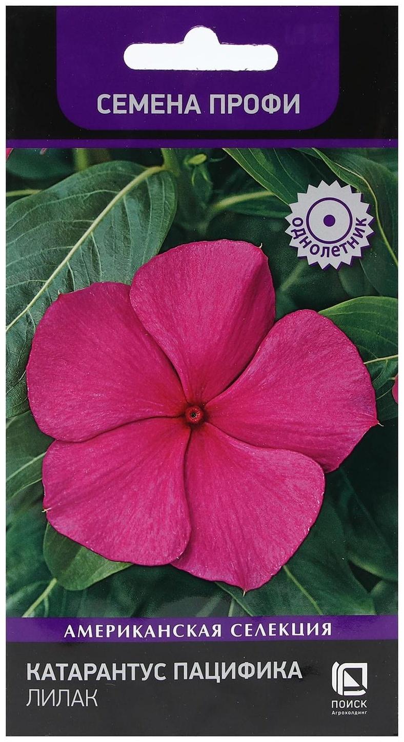 Семена цветов Катарантус Пацифика 