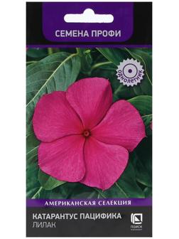 Семена цветов Катарантус Пацифика 