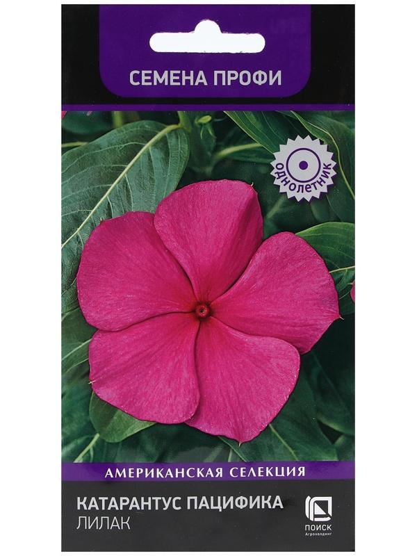 Семена цветов Катарантус Пацифика 