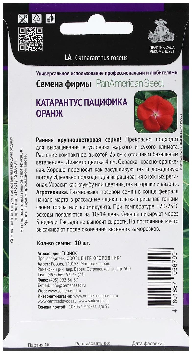 Семена цветов Катарантус Пацифика 