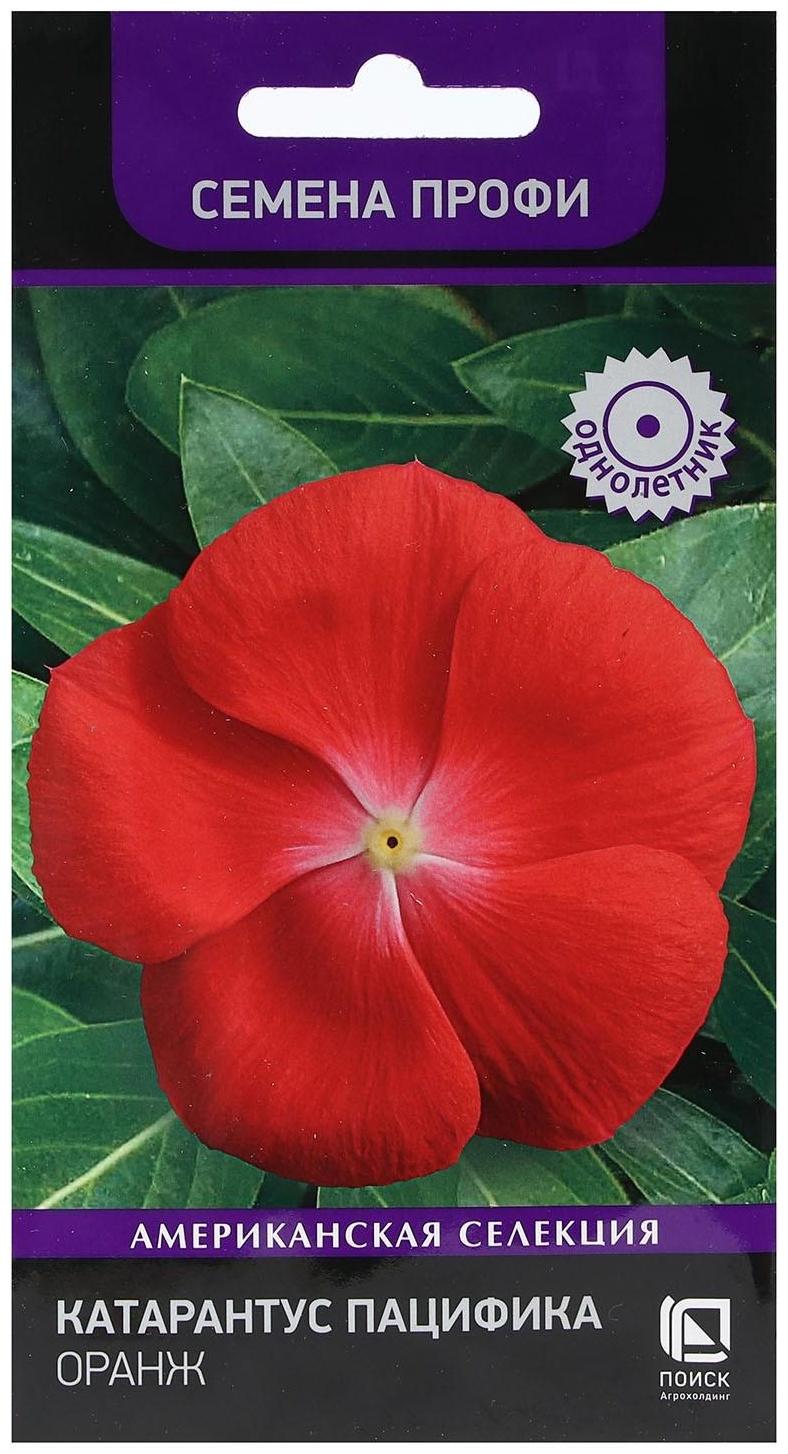 Семена цветов Катарантус Пацифика 