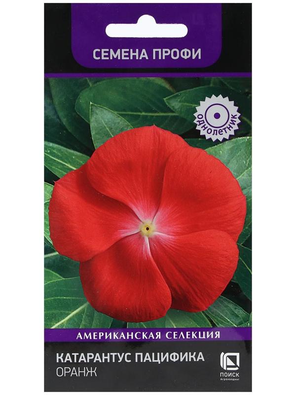 Семена цветов Катарантус Пацифика 