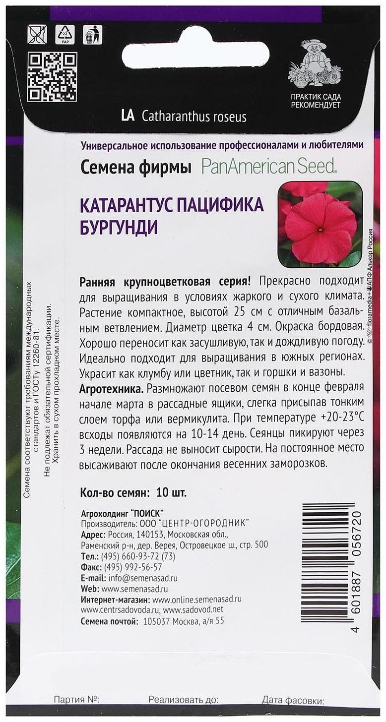 Семена цветов Катарантус Пацифика  