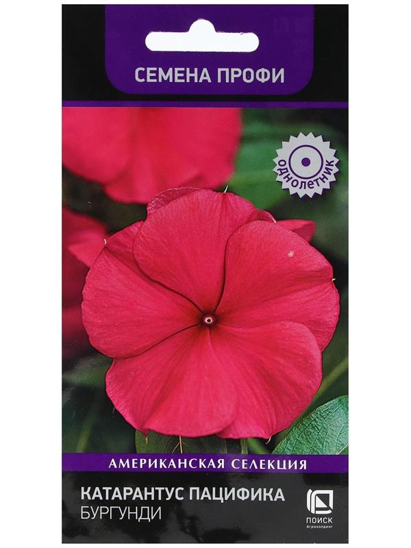 Семена цветов Катарантус Пацифика  