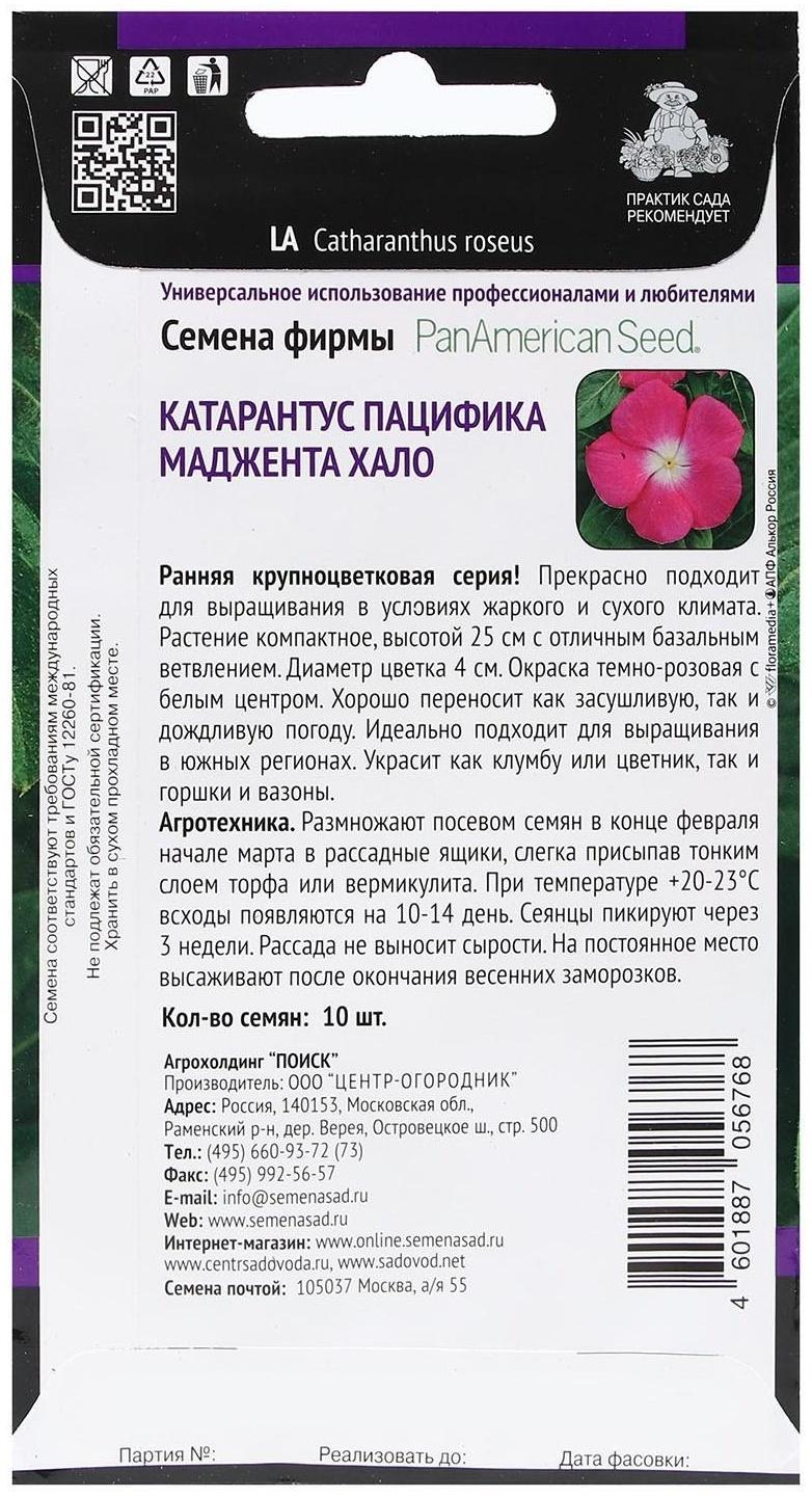 Семена цветов Катарантус Пацифика  