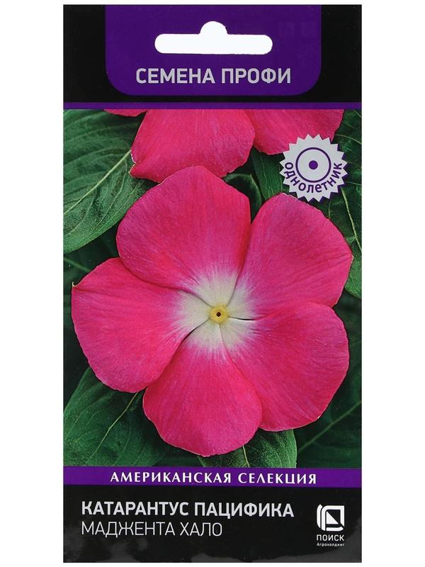 Семена цветов Катарантус Пацифика  