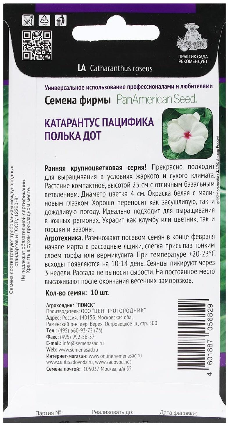 Семена цветов Катарантус Пацифика  