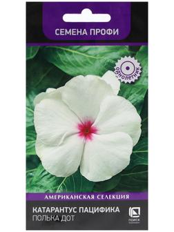 Семена цветов Катарантус Пацифика  