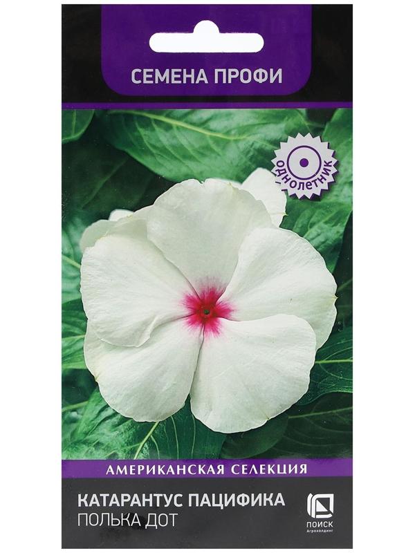 Семена цветов Катарантус Пацифика  