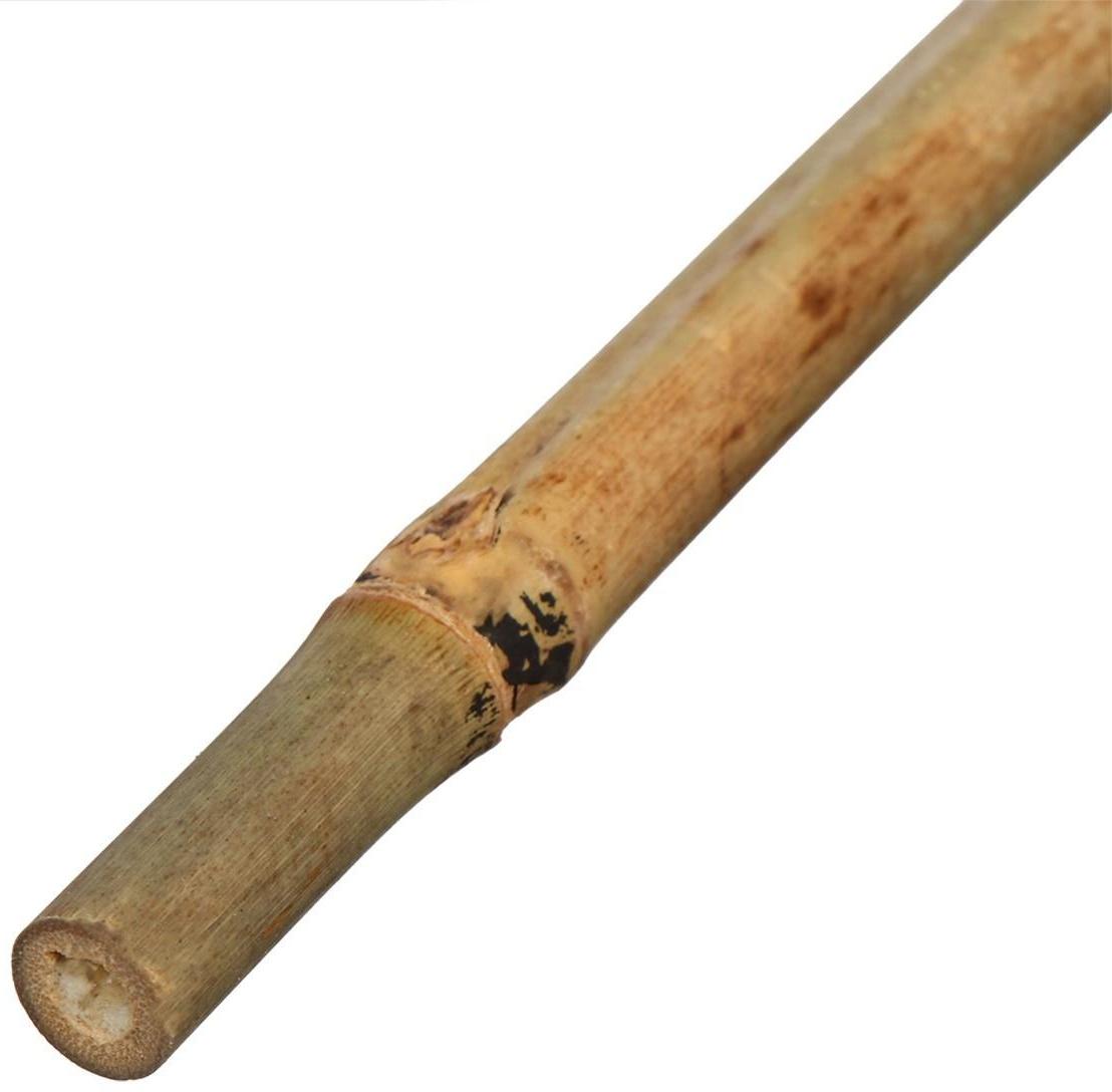 Колышек для подвязки растений, h = 120 см, d = 1 см, бамбук, Greengo