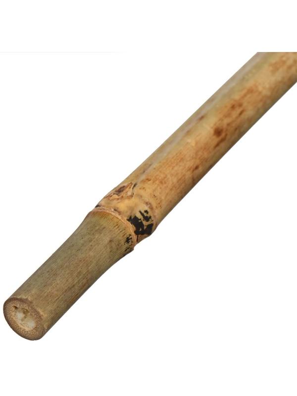 Колышек для подвязки растений, h = 120 см, d = 1 см, бамбук, Greengo