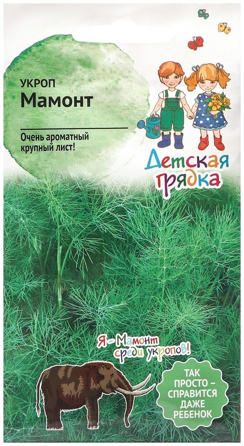 Семена Укроп  