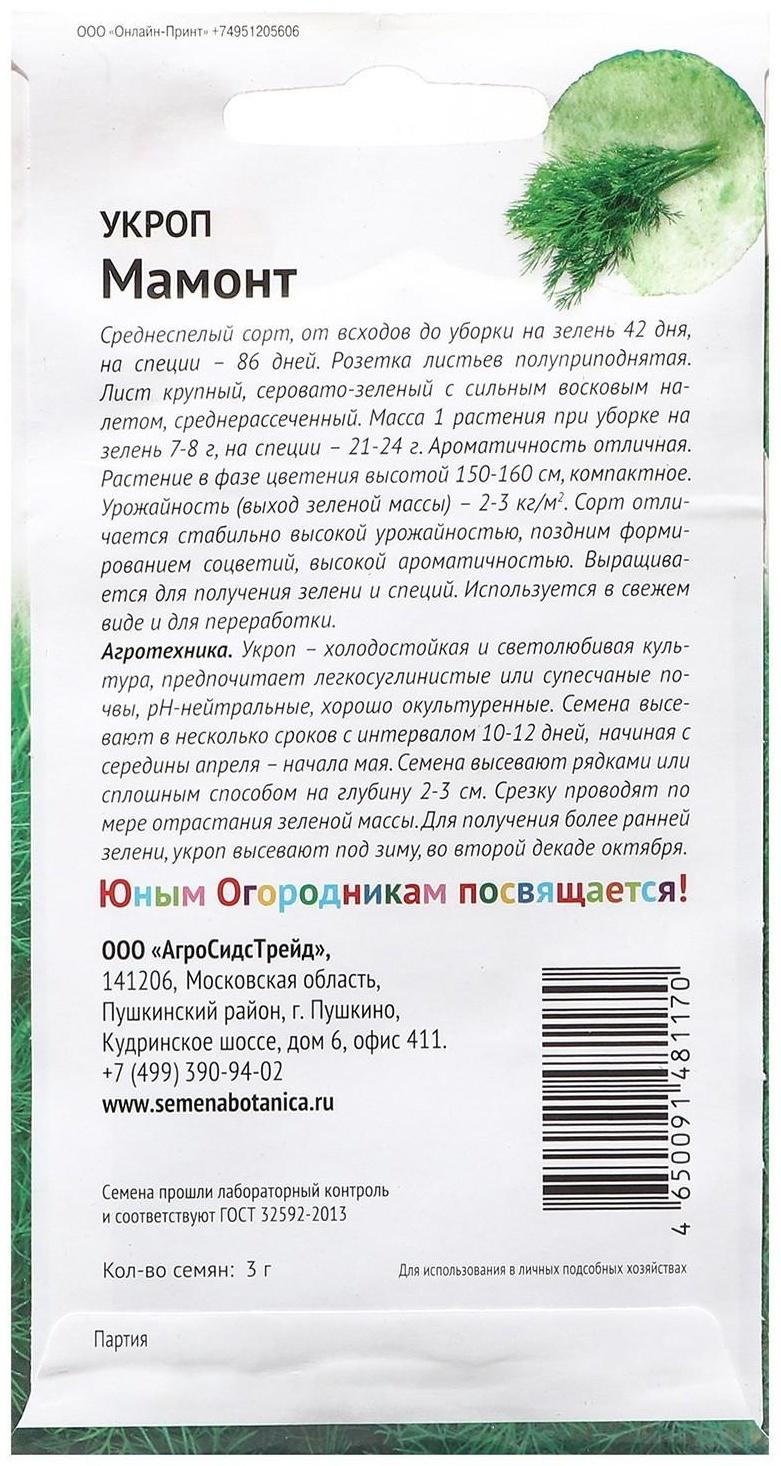 Семена Укроп  