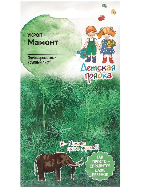 Семена Укроп  