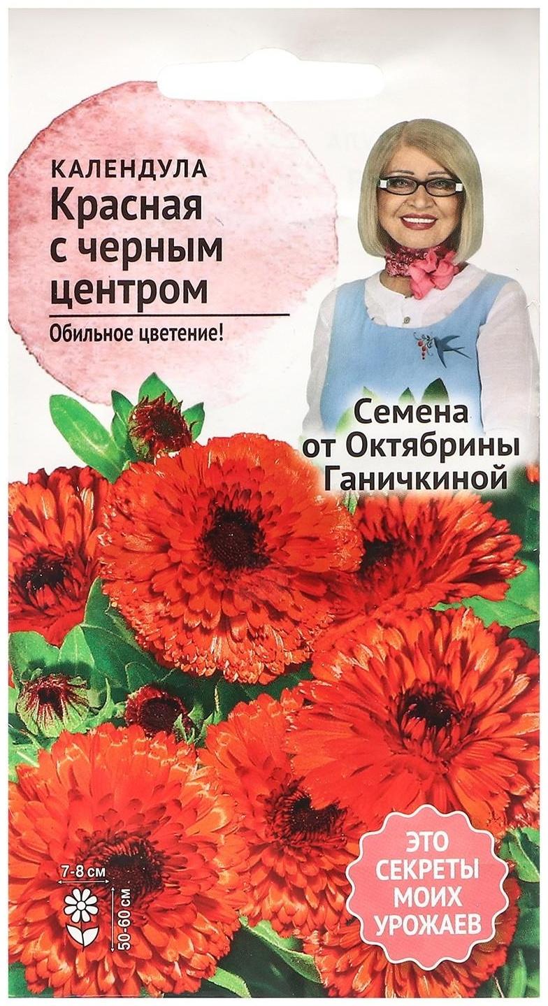 Семена Цветов Календула 