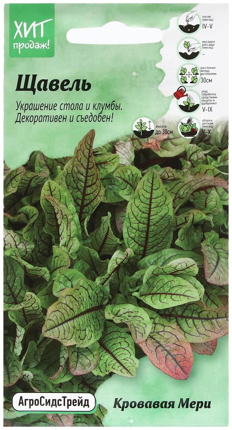 Семена Щавель 