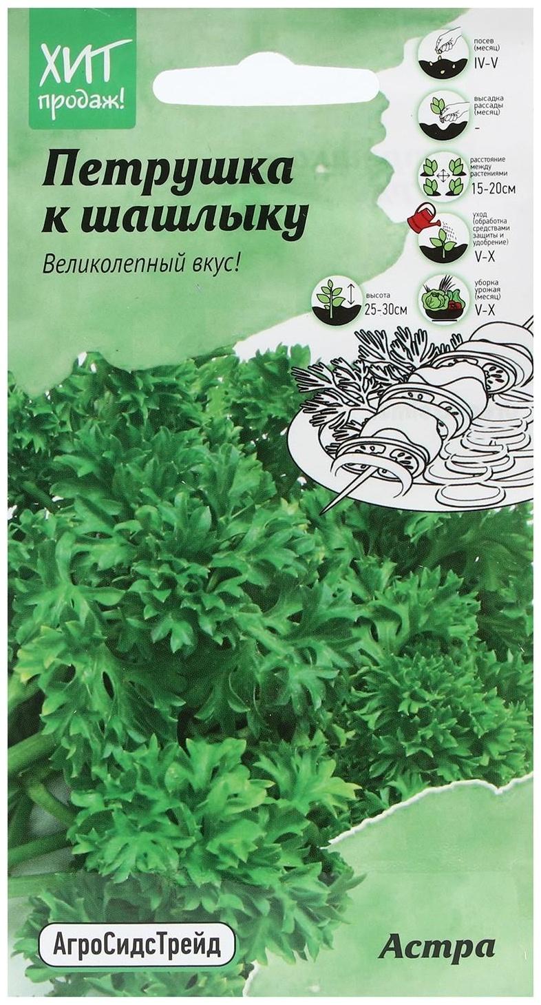 Семена Петрушка 