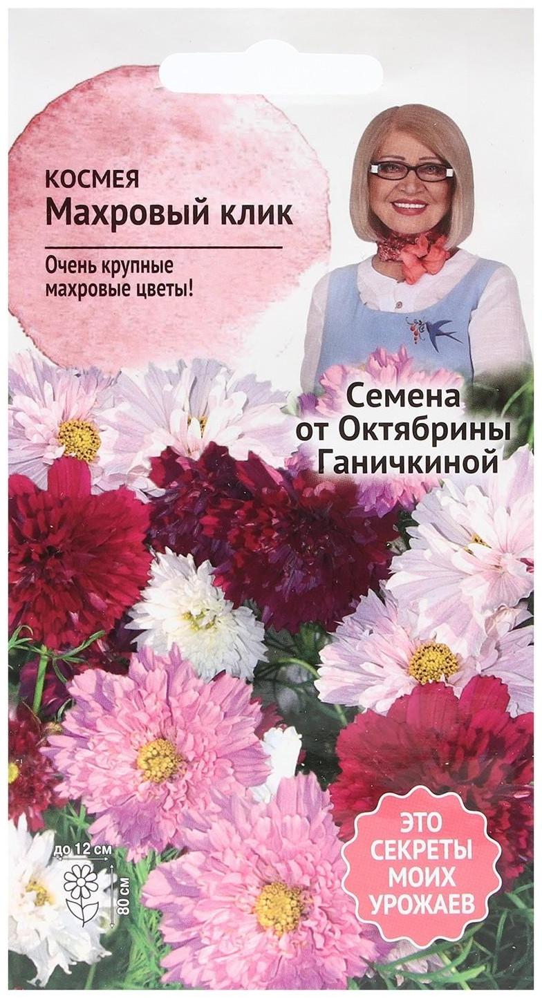 Семена Цветов Космея 