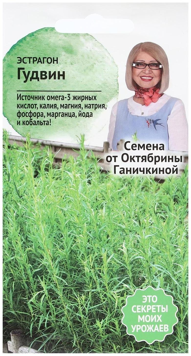 Семена Эстрагон 