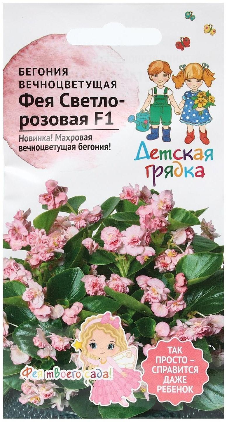 Семена Цветов Бегония 