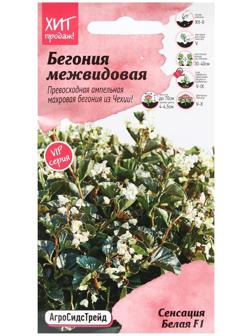 Семена Цветов Бегония 