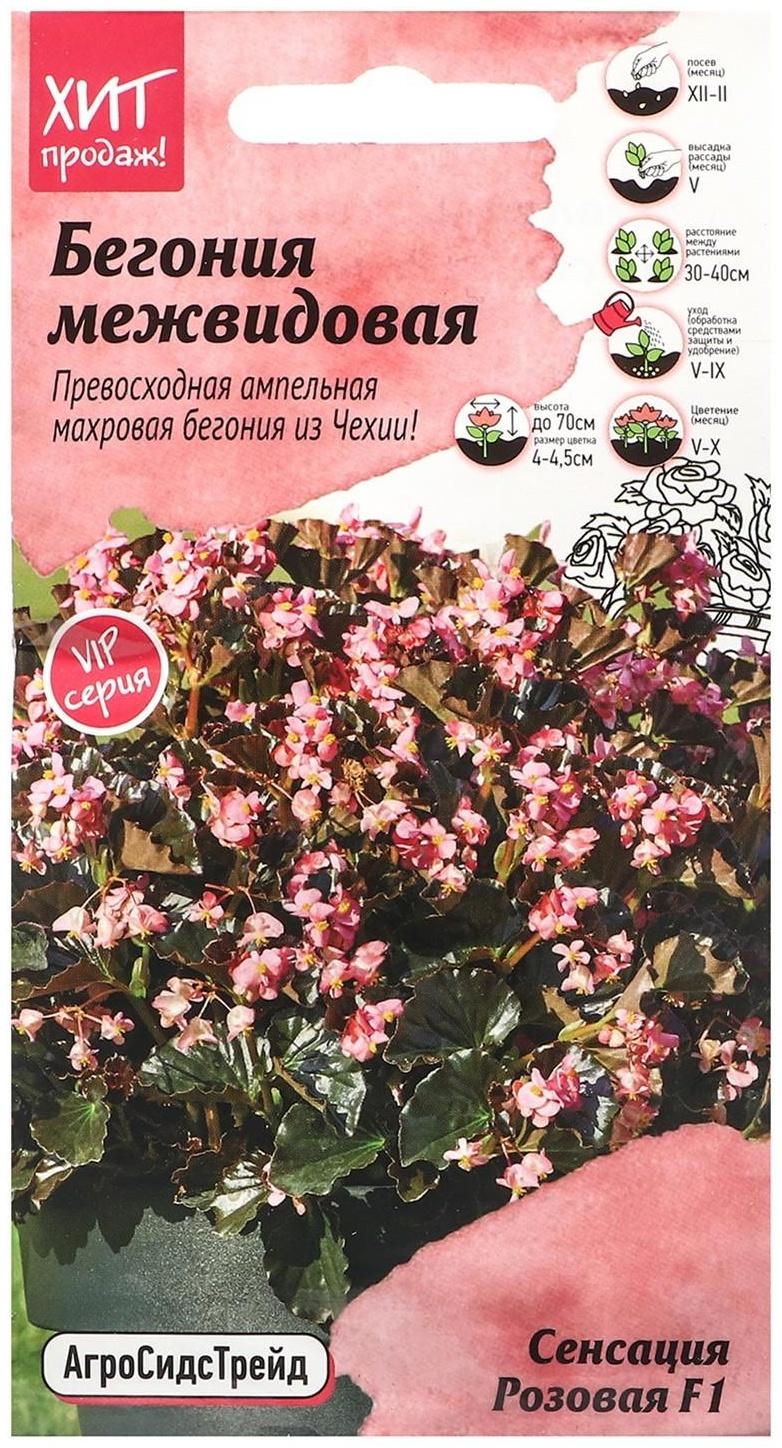 Семена Цветов Бегония 