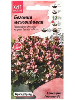 Семена Цветов Бегония 