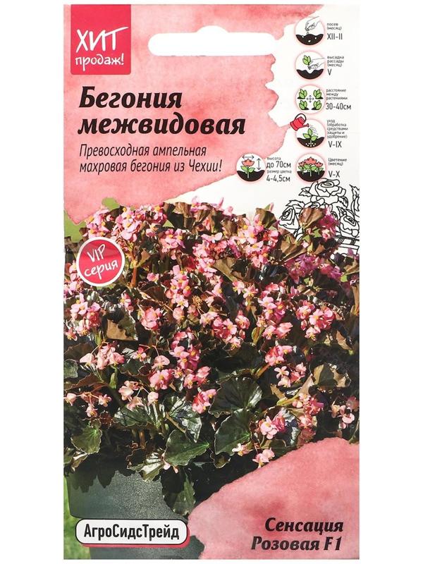 Семена Цветов Бегония 