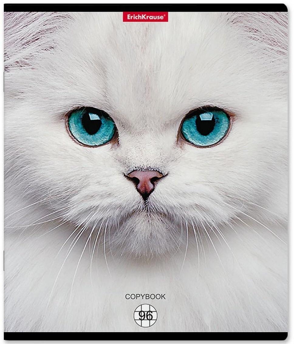 Тетрадь 96л кл ErichKrause Cats, матовая ламинация / Микс 1 шт.